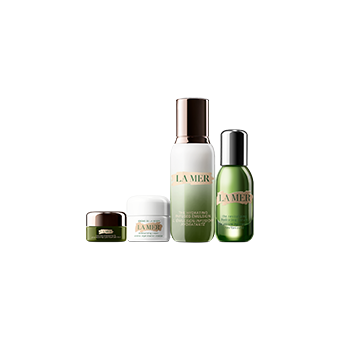 The Revitalized Transformation Collection